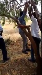 This is how it should do