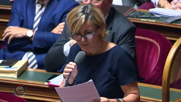 QAG - Frédérique Puissat Comment pouvez-vous justifier des prises de position sur la réforme de l'assurance-chômage sur la base d'un postulat de départ faussé ?