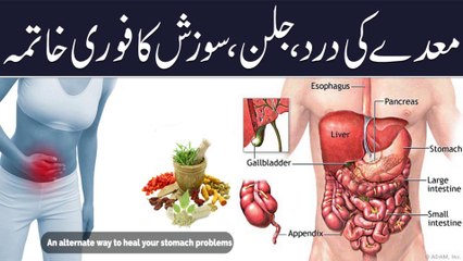 Stomach infection & Swelling || Maday ki sujan || معدہ کی ہر بیماری سے مکمل نجات