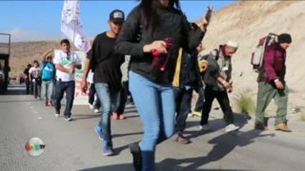 María Amparo Casar |