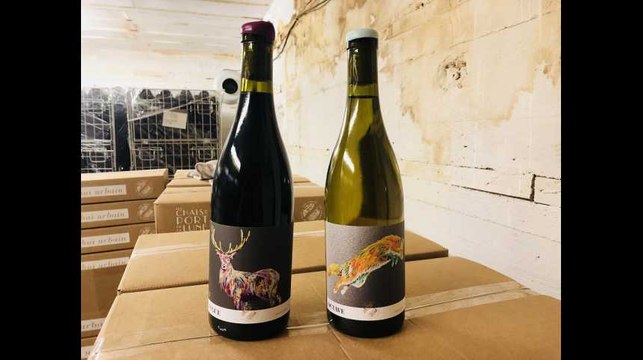 Ils font leur propre vin dans un ancien blockhaus allemand à Bordeaux