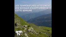 ⛰️☀️ 29°C à Val d’Isère, 32°C à Méribel, le Mont-Blanc proche des 0°C… En montagne aussi, la canicule sévit
