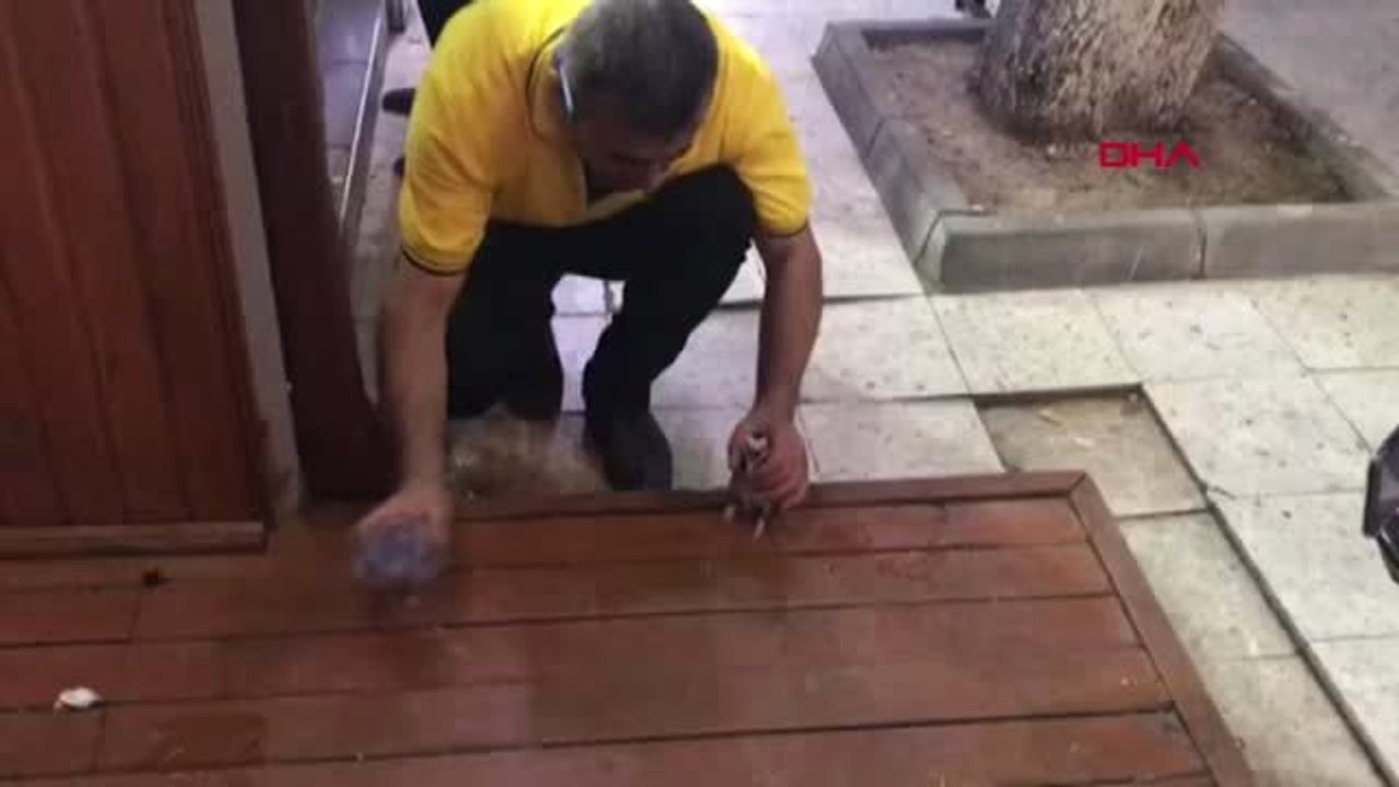 KIRIKKALE AĞAÇTAN DÜŞEN SAKSAĞAN YAVRUSUNA ELİYLE SU İÇİRDİ