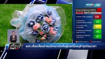 ระวังแบงค์ยับ - เที่ยงทันข่าว