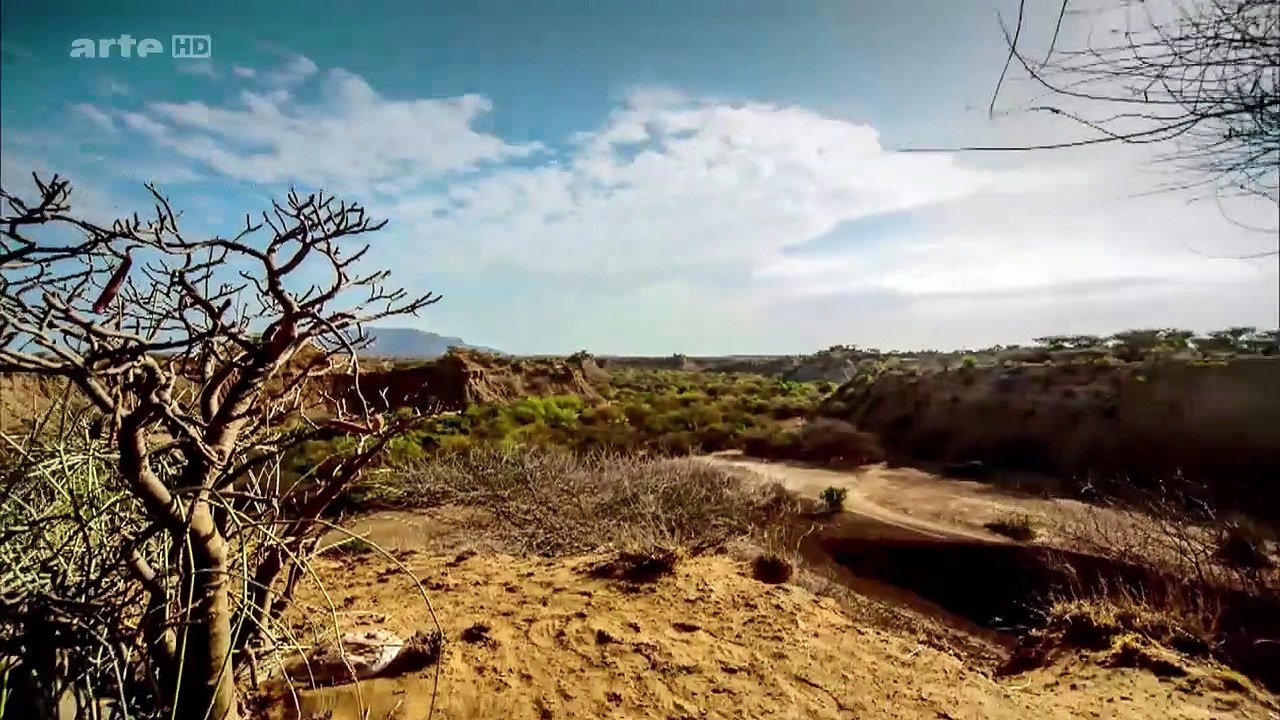 Quand Homo sapiens peupla la planète :  Le berceau africain (S01:E01)