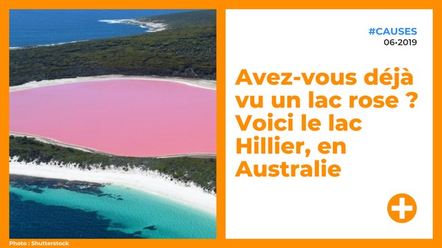 Avez-vous déjà vu un lac rose ? Voici le lac Hillier, en Australie.