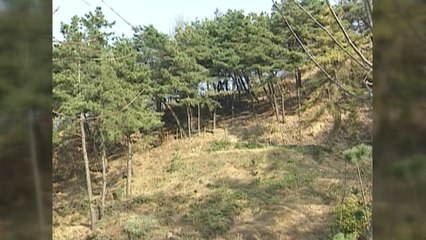 "친일파 이해승 땅 4㎡만 돌려줘라"...정부, 재산 환수 사실상 패소 / YTN