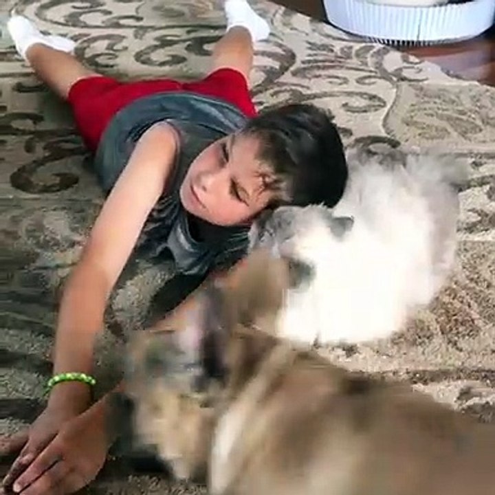 Ce petit est un chanceux. Il reçoit des bisous de son chaton !