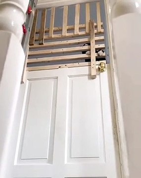 Une chat qui ne supporte pas les portes fermées. Hilarant !