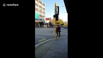 New Zealand man captures moment 4 people partake in sword fight on a road