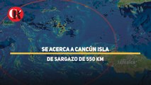 Se acerca a Cancún isla de sargazo de 550 km