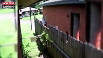 États-Unis : une femme met le feu à la maison de ses voisins... et se filme (vidéo)