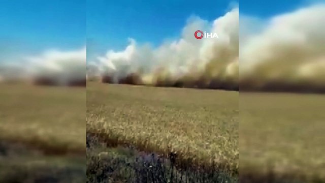 18 dönümlük buğday tarlası tamamen yandı