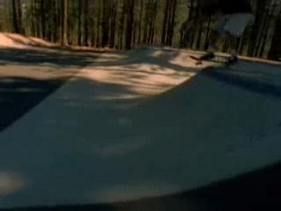 skeat bord'ding