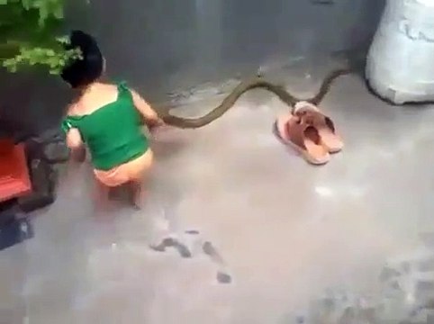 Los MEJORES Videos Virales del Mundo y los más Vistos - Amazing Videos