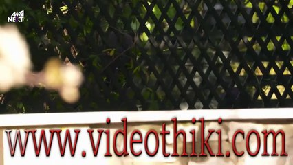 Η ΕΠΙΣΤΡΟΦΗ - ΕΠΕΙΣΟΔΙΟ 161 - ΣΕΖΟΝ 1