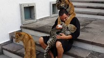 Gros calin entre un  lion, un tigre, une panthère.... et leur dresseur