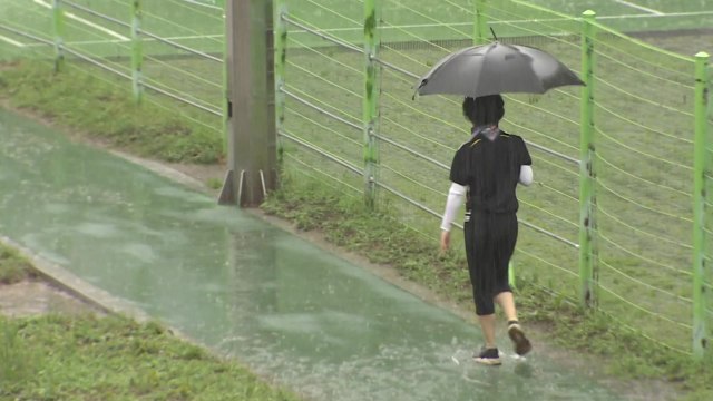 [날씨] 전국 '동시 장마' 시작...제주도·남해안 국지성 호우 / YTN