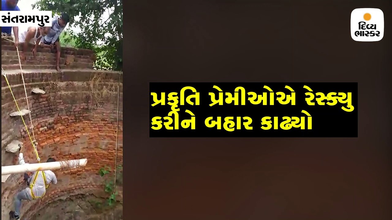 કૂવામાં 7 ફૂટ લાંબો નાગ જોવા મળ્યો, પ્રકૃતિ પ્ર...