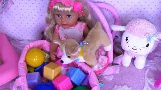 Play Baby Born Doll Cooking Breakfast Toys Food!