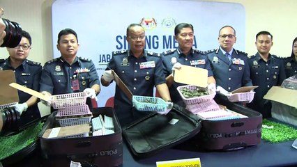 Mais de 5.000 tartarugas apreendidas na Malásia