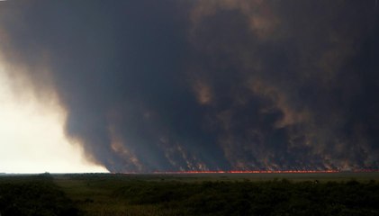 Massive Wildfire Swallows up Portion of Florida Everglades