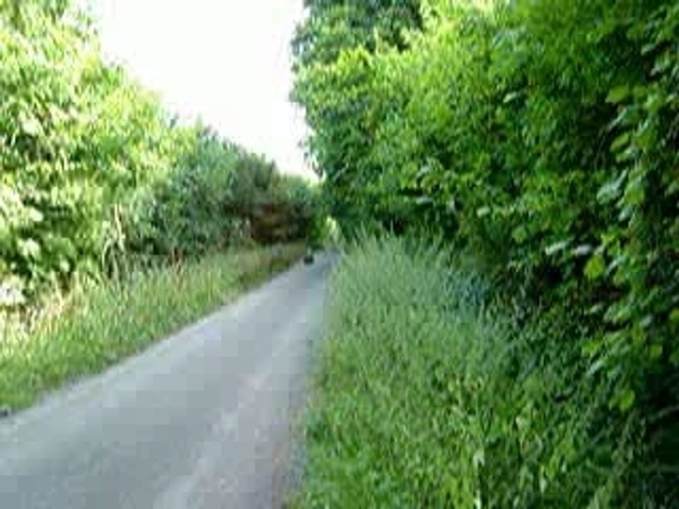 LInkAtPLug StreetLuge