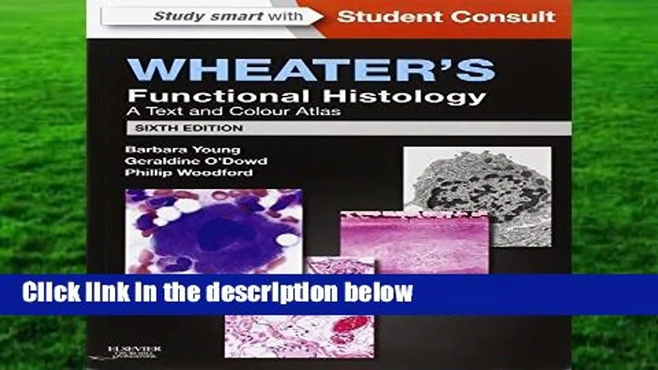 Full E-book  Wheater s Functional Histology: A Text and Colour Atlas, 6e  Review