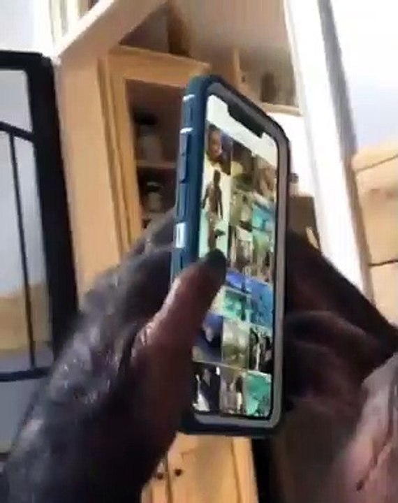 Monkey play with his smartphone