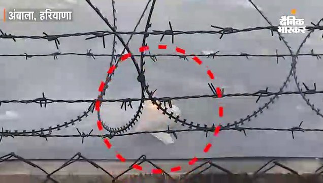 वायुसेना का लड़ाकू विमान पक्षी से टकराया