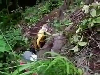 바카라게임사이트 http://gom22.com(．카지노사이트．)