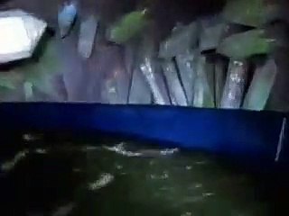 필리핀카지노후기 http://gom22.com〔～바카라사이트～〕