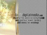 Wedding backgrounds, animated loops and special FX clips