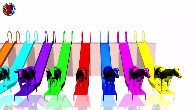 Learn Colors With Cows For Childrens || Learning Colors || orange skyblue green purple blue pink yellow