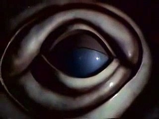 카지노추천사이트 http://gom22.com〔。바카라사이트。〕