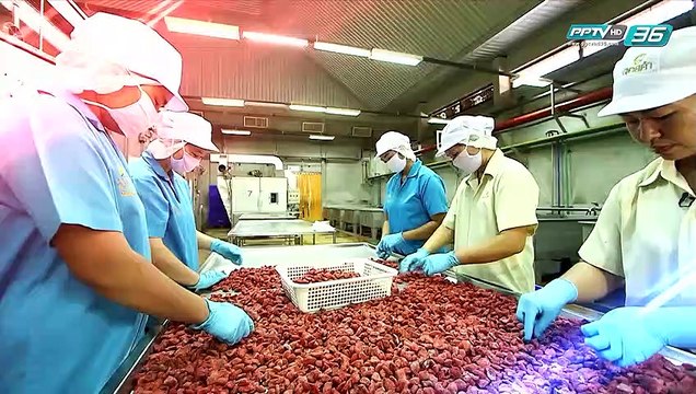 เลือกตั้ง 2562 | เลือกตั้ง 62 ประชันนโยบายค่าแรง | เที่ยงทันข่าว