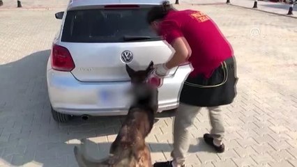 Şüphe üzerine durdurulan otomobilde uyuşturucu bulundu