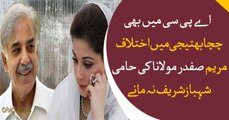 Maryam and Shehbaz kept on opposing each other in APC