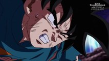 Dragon Ball Heroes Episode 11