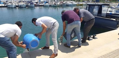 Didim'de deniz patlıcanı avcılarına geçit yok