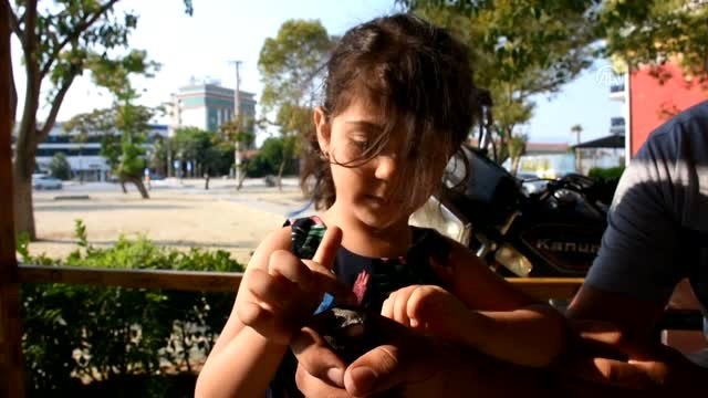 Yavru ebabil kuşu bulundu