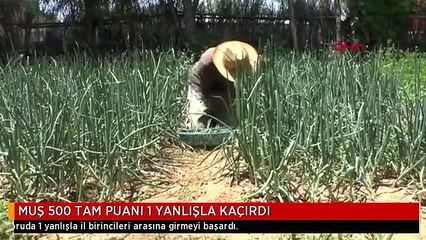 MUŞ 500 TAM PUANI 1 YANLIŞLA KAÇIRDI
