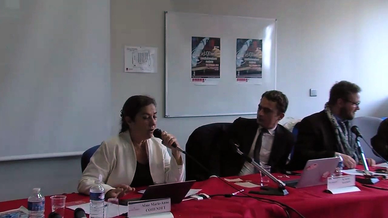 "L’impact des enjeux environnementaux sur le constitutionnalisme des juges", Marie-Anne Cohendet, Professeur de droit public, Université Paris 1 –Panthéon Sorbonne _QsQ #8_08-Séquence 03ter-3