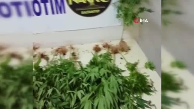 Polis uyuşturucu tacirlerine göz açtırmıyor