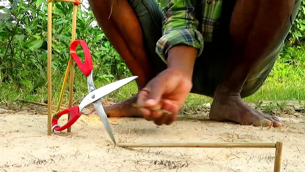 Facile d'Oiseaux de Piège Simple BRICOLAGE Créatif Oiseau Piège de faire de Cutter Que le Travail à 100% Par des Hommes