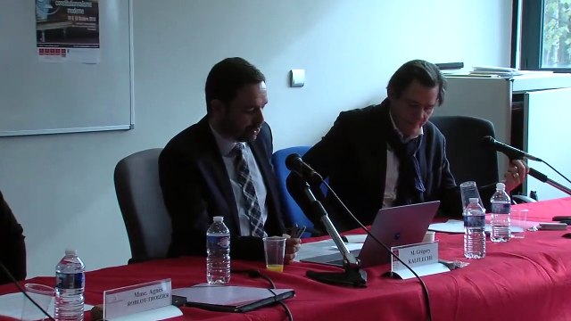 La jurisprudence du Conseil constitutionnel est-elle conforme aux exigences du constitutionnalisme des libertés de 1789 ? , François Saint-Bonnet, Professeur d’histoire du droit, Université Paris 2 Panthéon-Assas _QsQ #8_07-Séquence 03bis