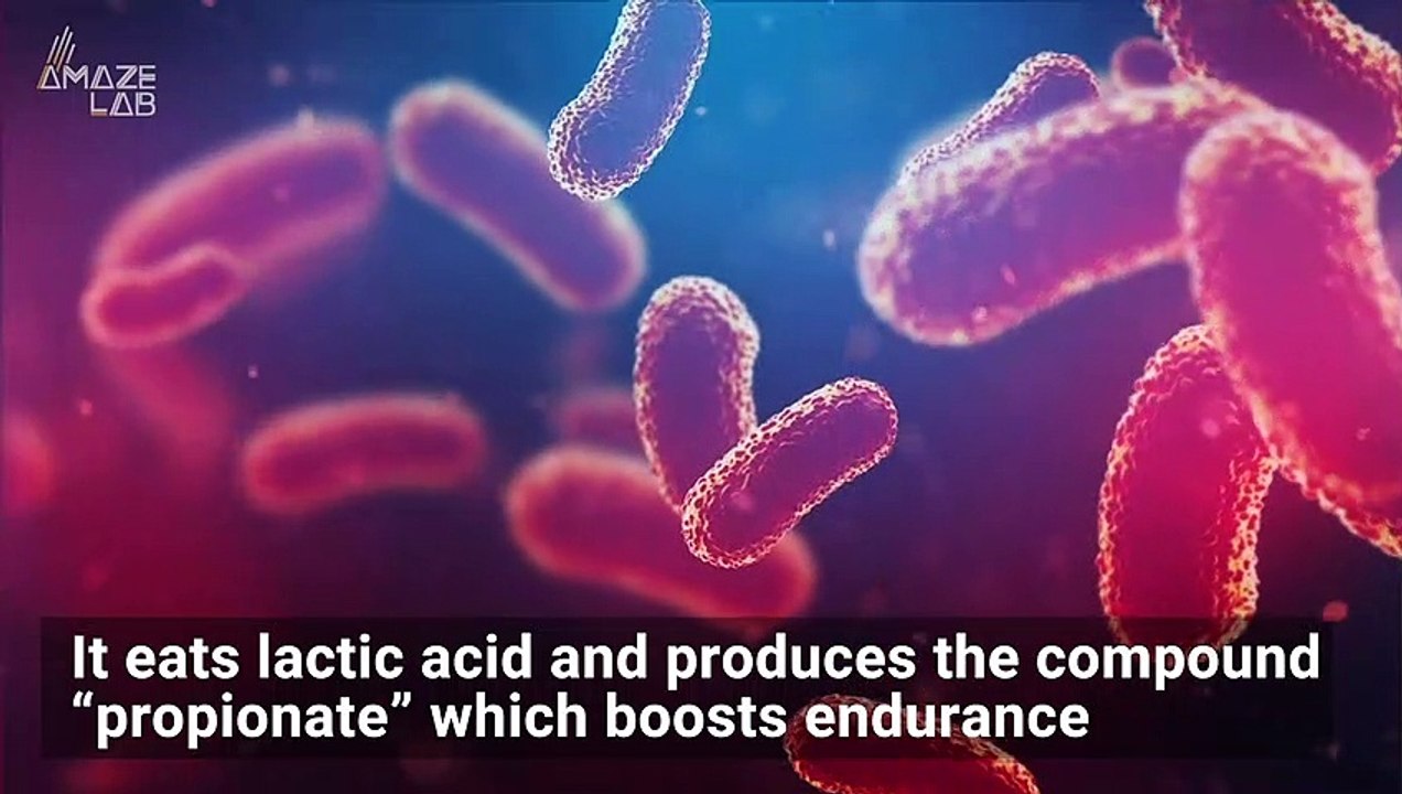 Gut Bacteria Gives Marathon Runners a Performan...