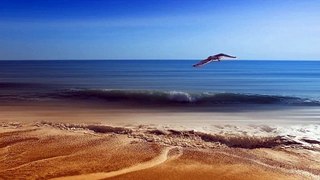 waves on beach relaxing sea sounds