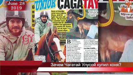 Зачем Чагатай Улусой купил коня?