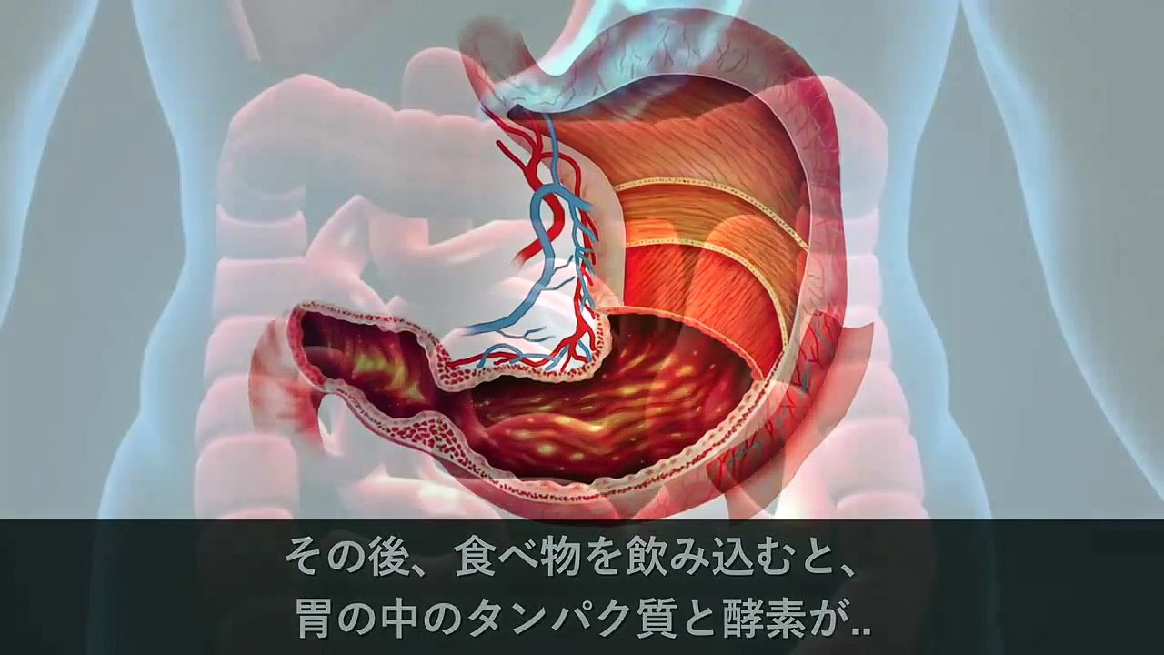 【衝撃】ガムを呑み込んだらどうなるのか？